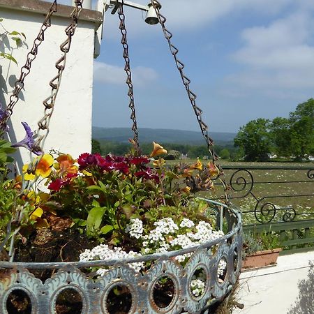 Dean Valley Panorama Bed & Breakfast Lydney Exterior foto