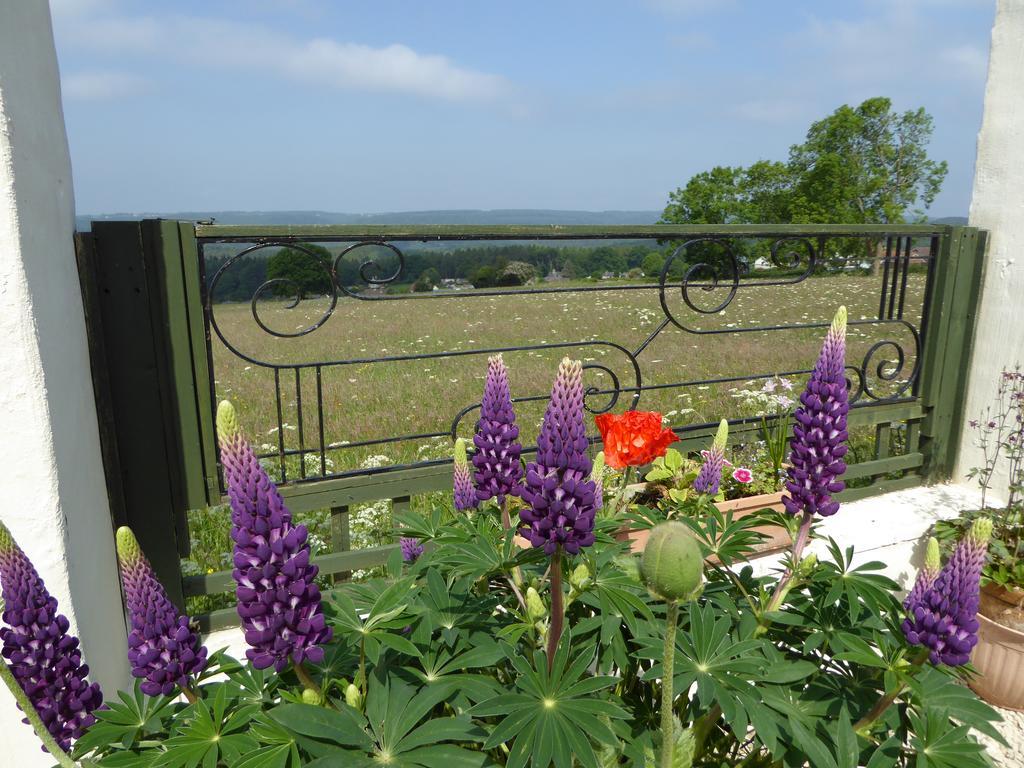 Dean Valley Panorama Bed & Breakfast Lydney Exterior foto