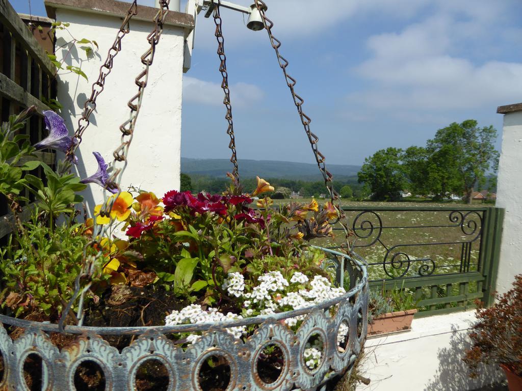 Dean Valley Panorama Bed & Breakfast Lydney Exterior foto