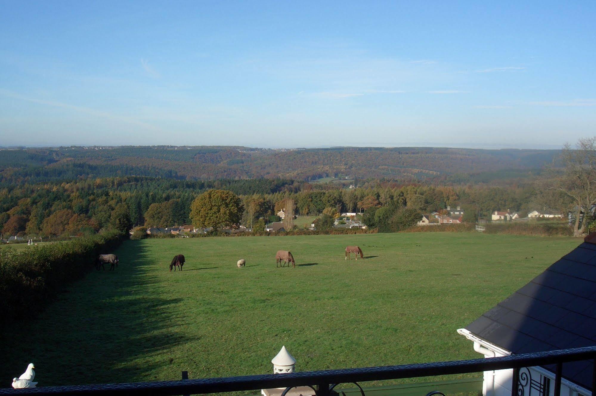 Dean Valley Panorama Bed & Breakfast Lydney Exterior foto